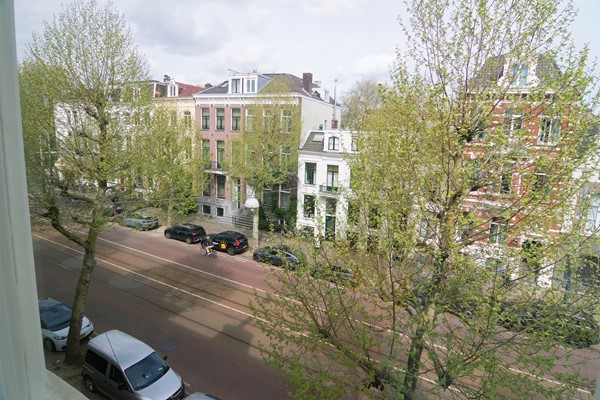 32 UItzicht Plantage Middenlaan.jpg